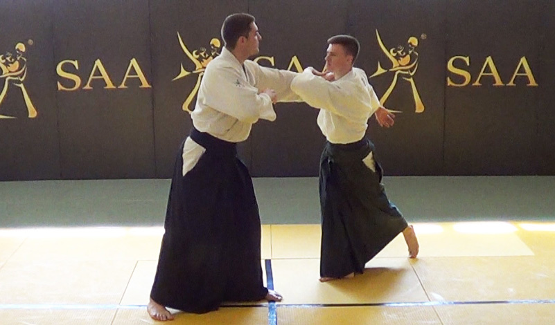 SAA Edward Suomin Aikido Kata Dori Sequence